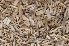 biomass boilers Maraig